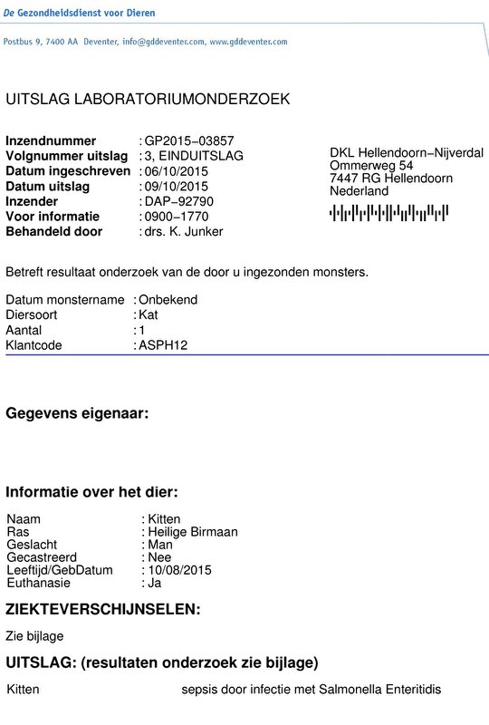 Afbeelding