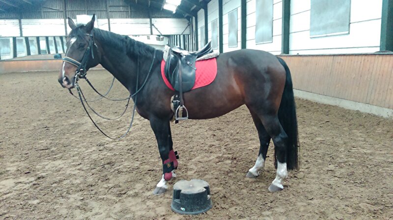 Afbeelding