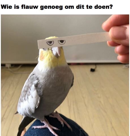 Afbeelding