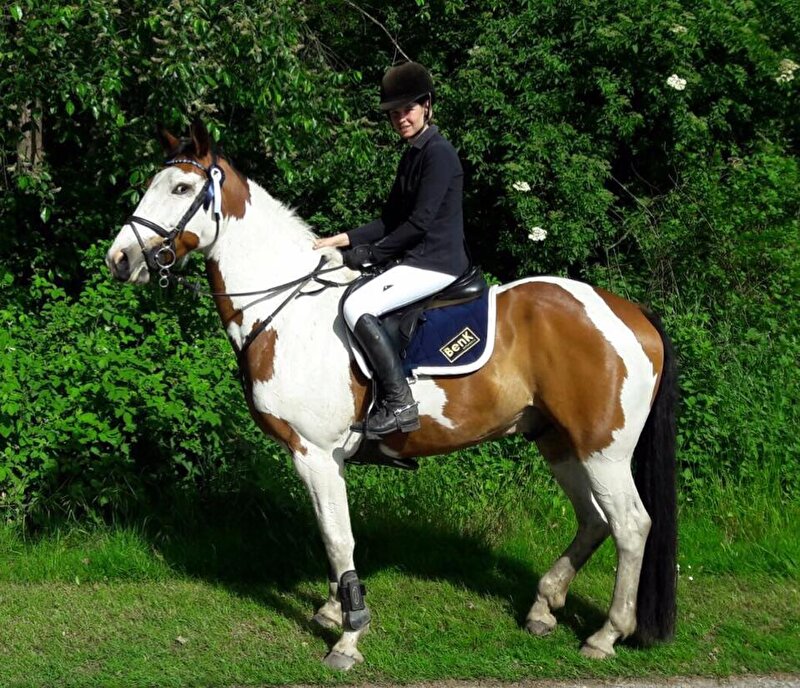 Afbeelding
