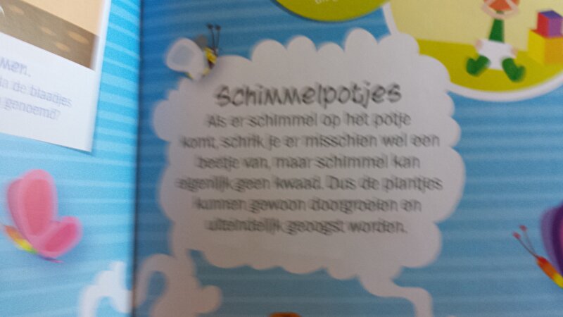 Afbeelding