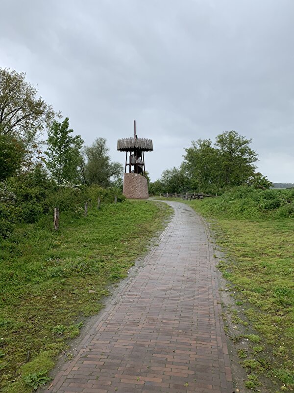 Afbeelding