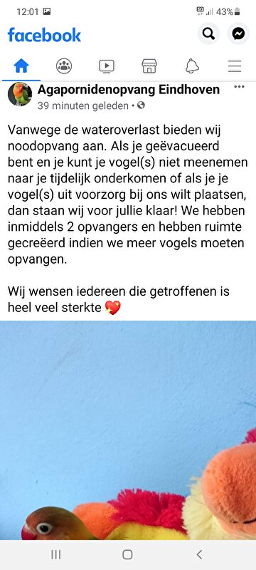 Afbeelding