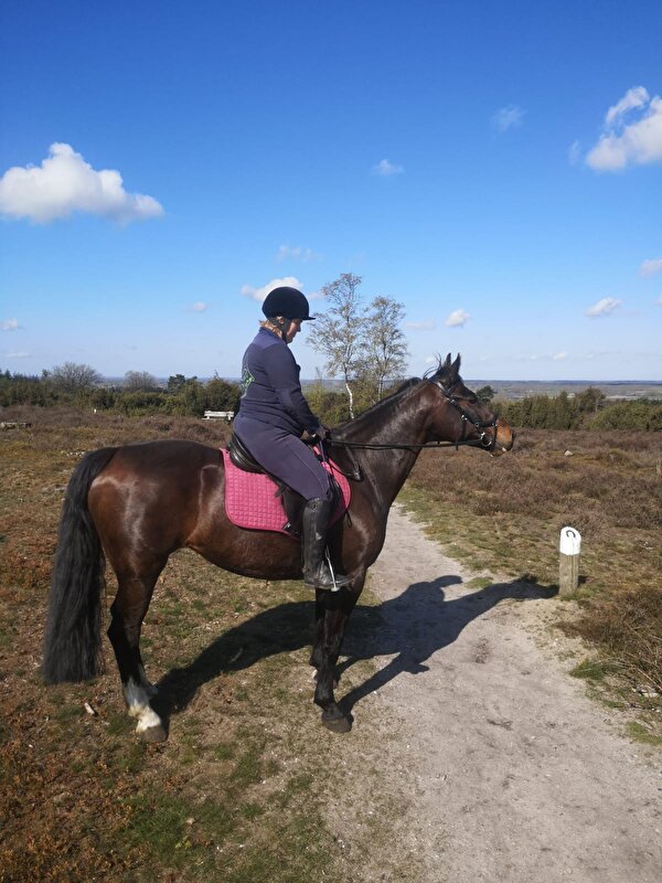 Afbeelding