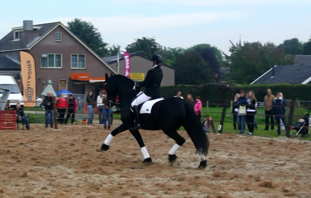 Afbeelding