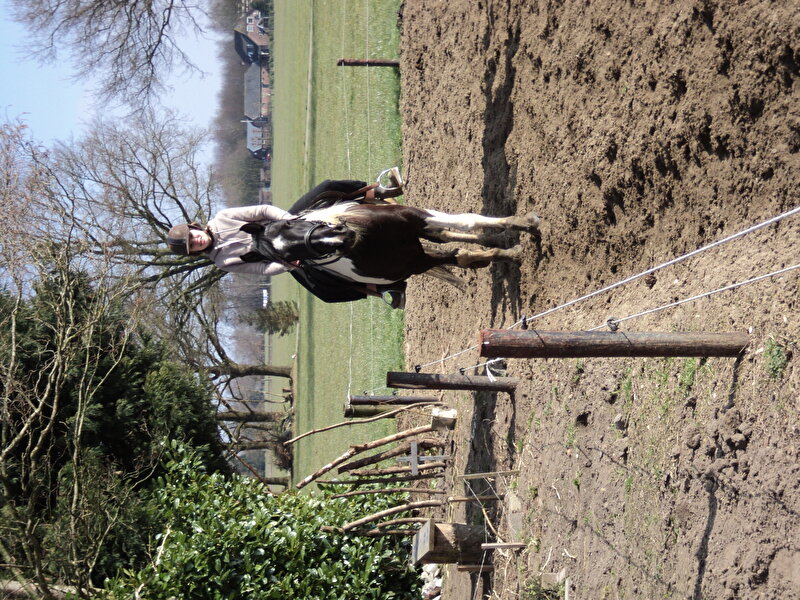 Afbeelding