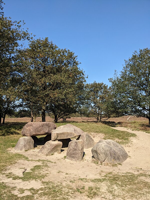 Afbeelding