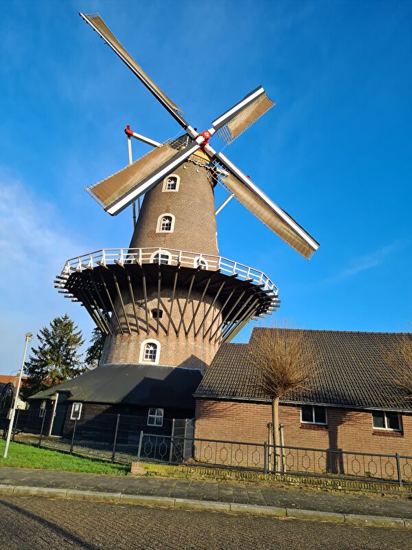 Afbeelding