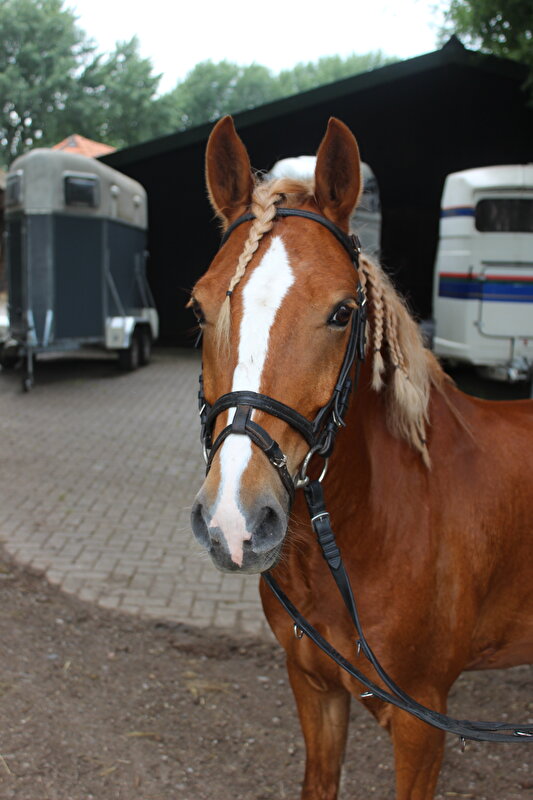 Afbeelding