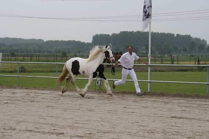 Afbeelding