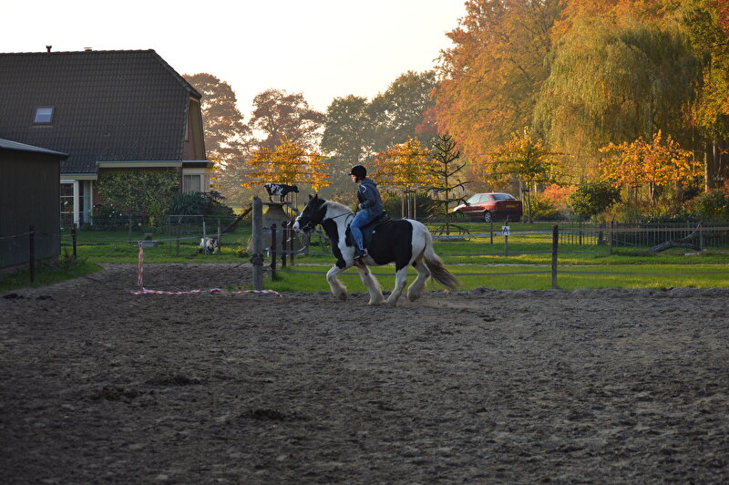 Afbeelding