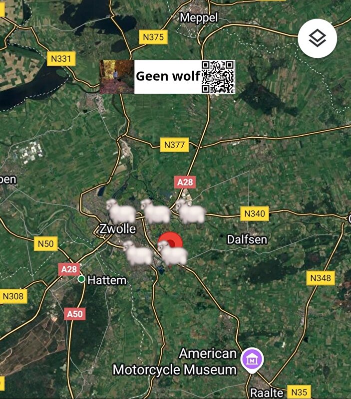 Afbeelding
