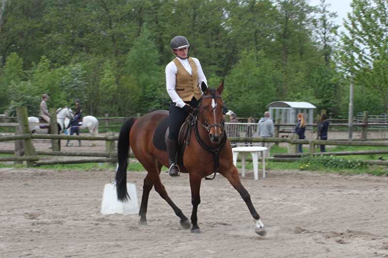 Afbeelding