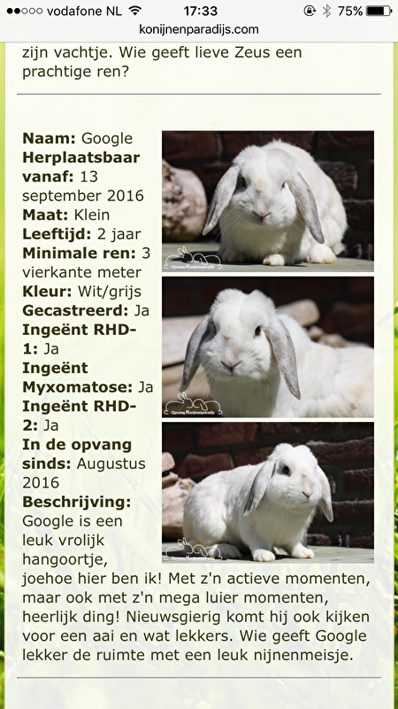 Afbeelding