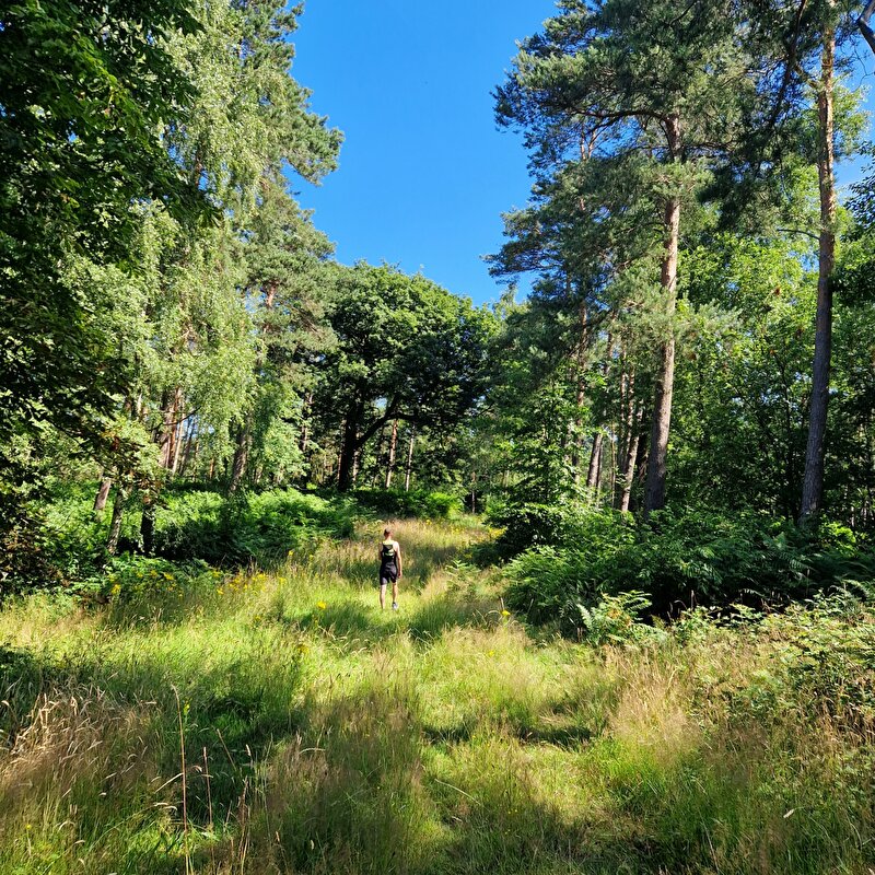 Afbeelding
