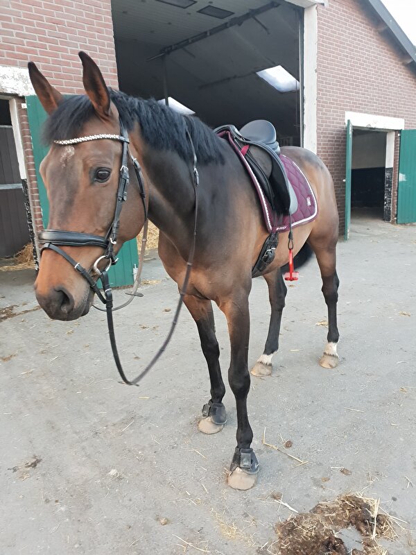 Afbeelding