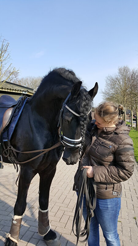 Afbeelding