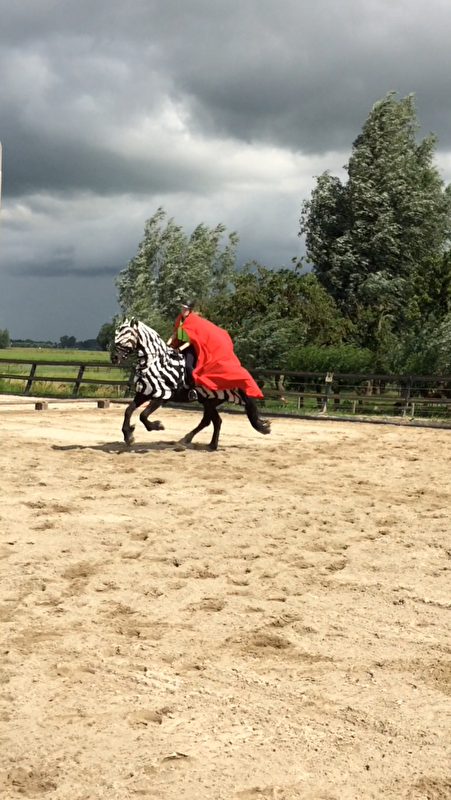 Afbeelding