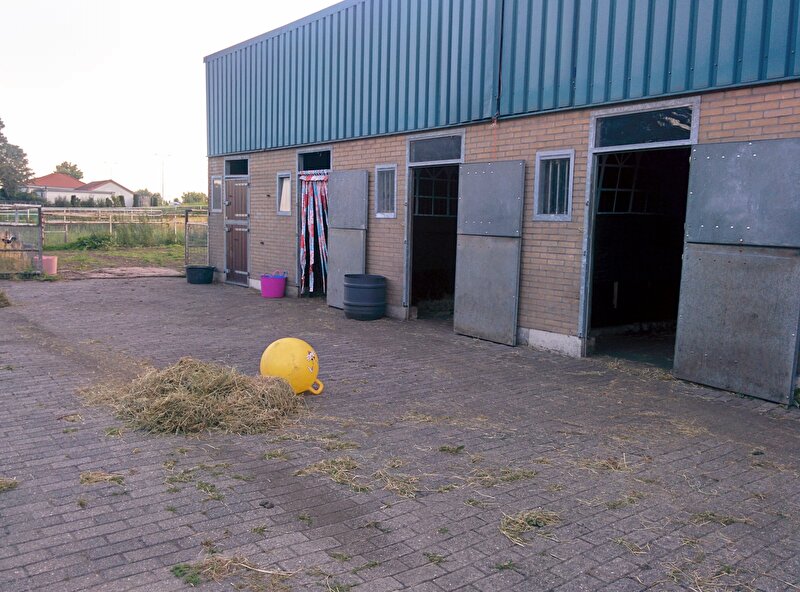 Afbeelding
