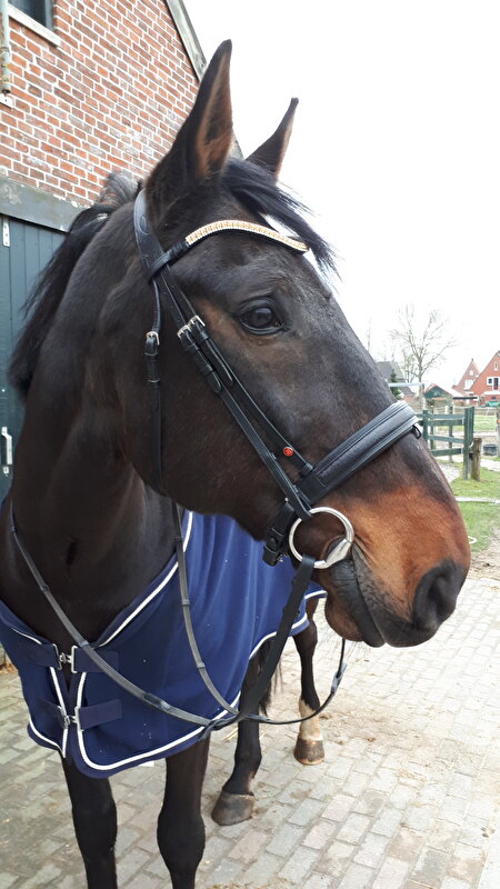 Afbeelding