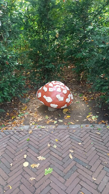Afbeelding