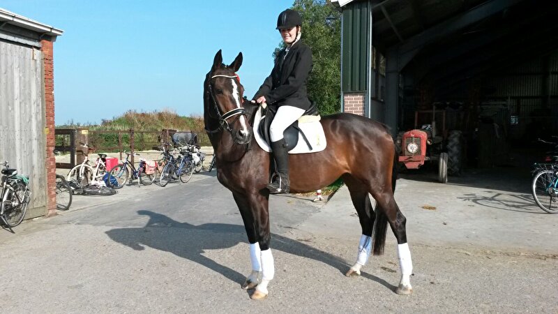 Afbeelding