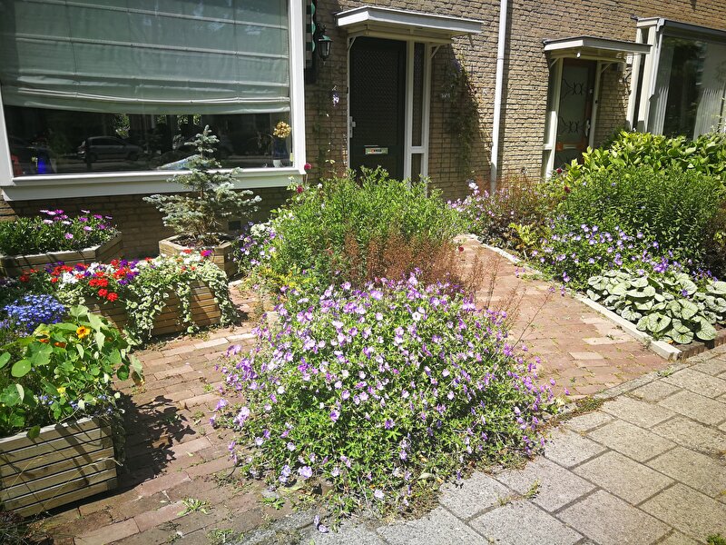 Afbeelding