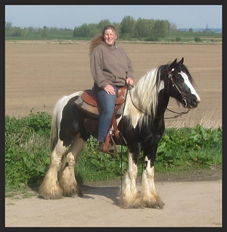 Afbeelding