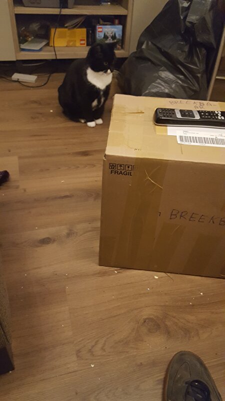 Afbeelding