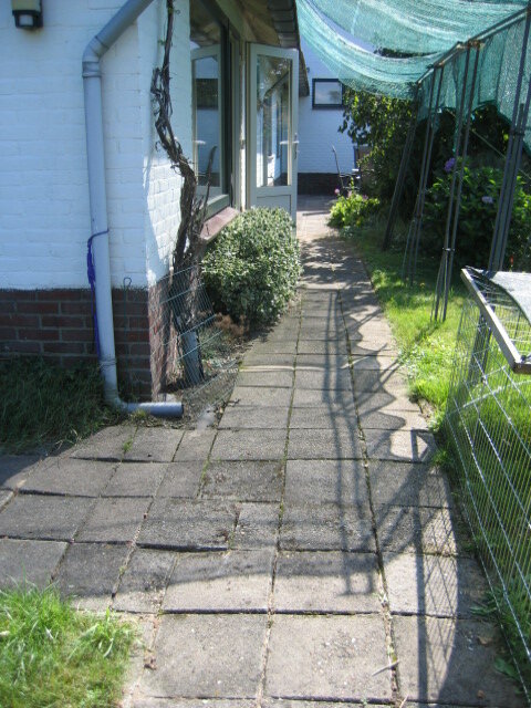 Afbeelding