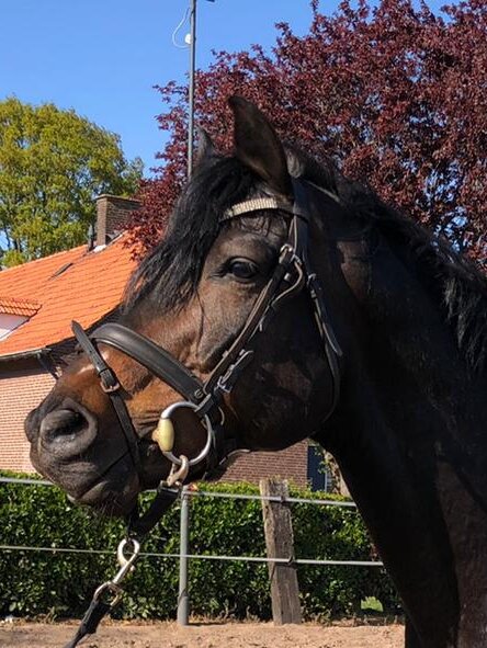 Afbeelding