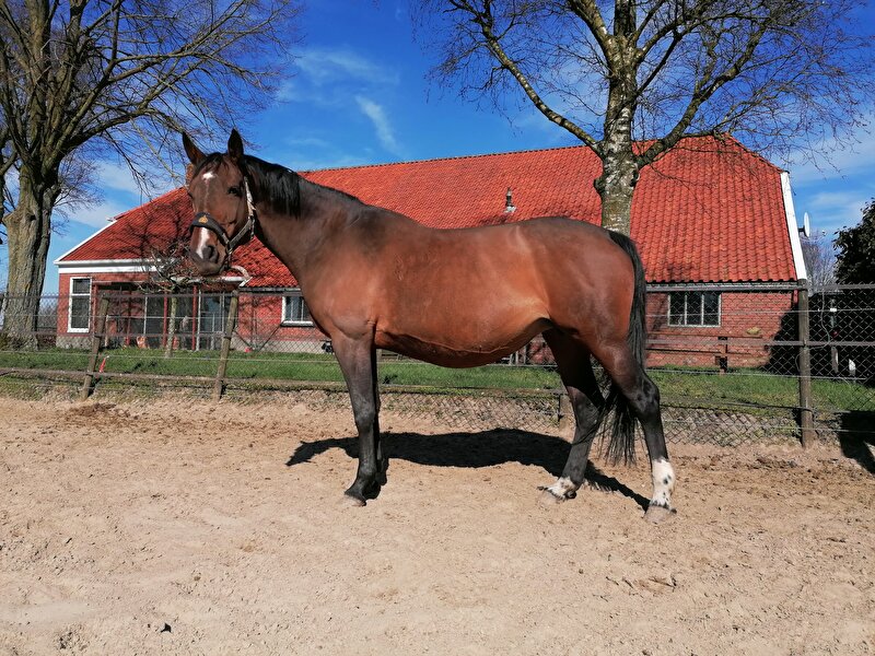 Afbeelding