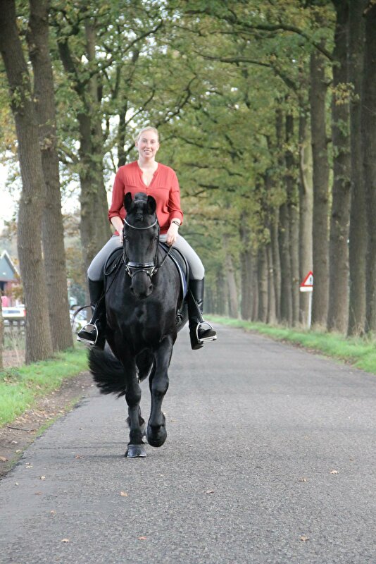 Afbeelding