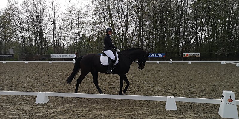 Afbeelding