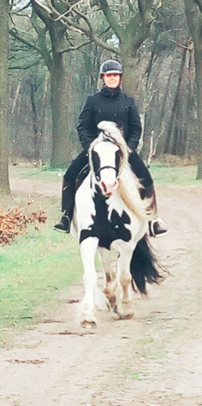 Afbeelding