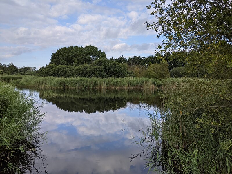 Afbeelding