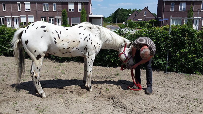 Afbeelding