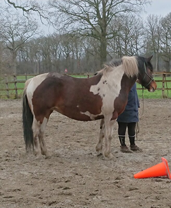Afbeelding