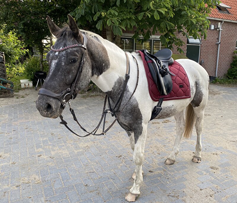 Afbeelding