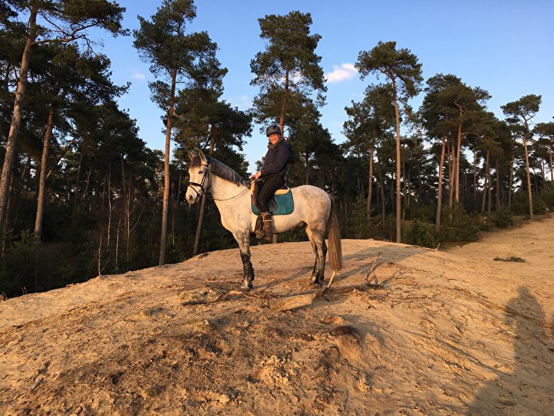 Afbeelding