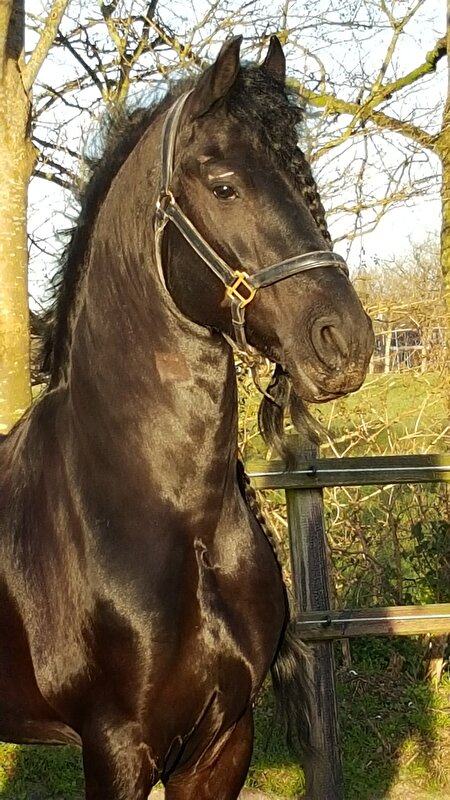 Afbeelding