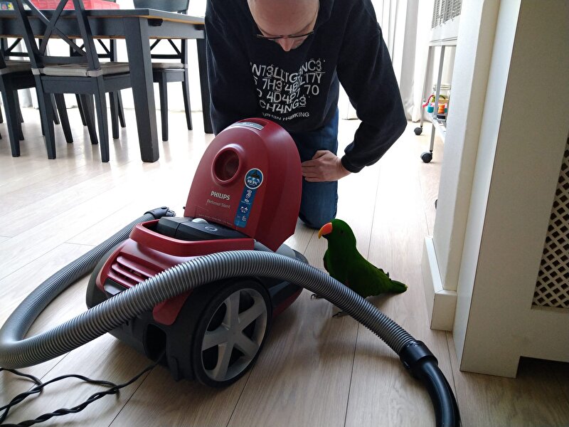 Afbeelding