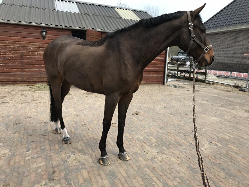Afbeelding