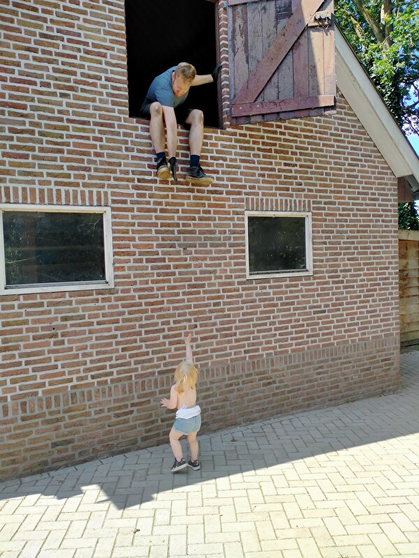 Afbeelding