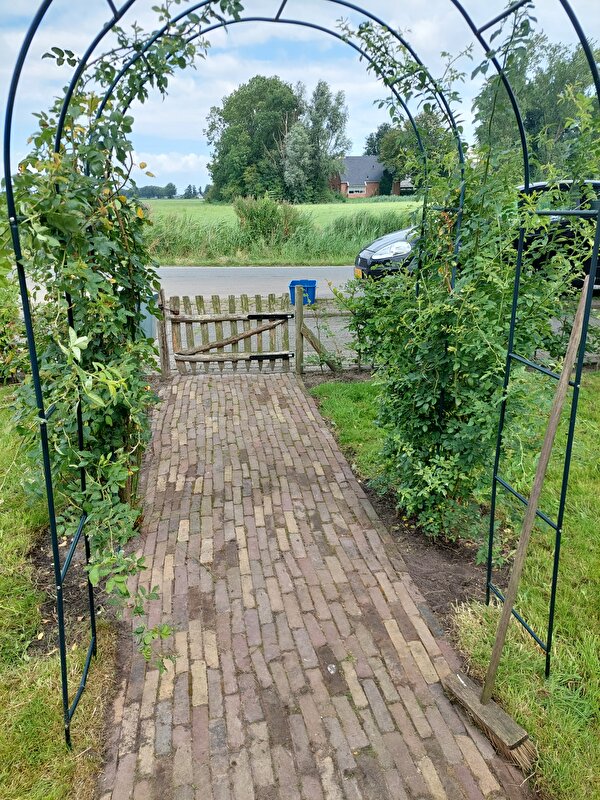 Afbeelding