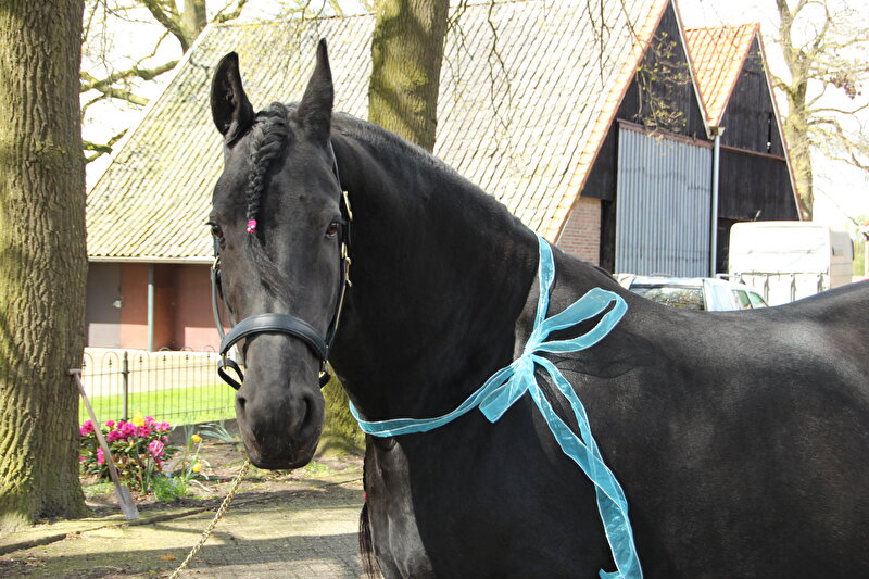 Afbeelding
