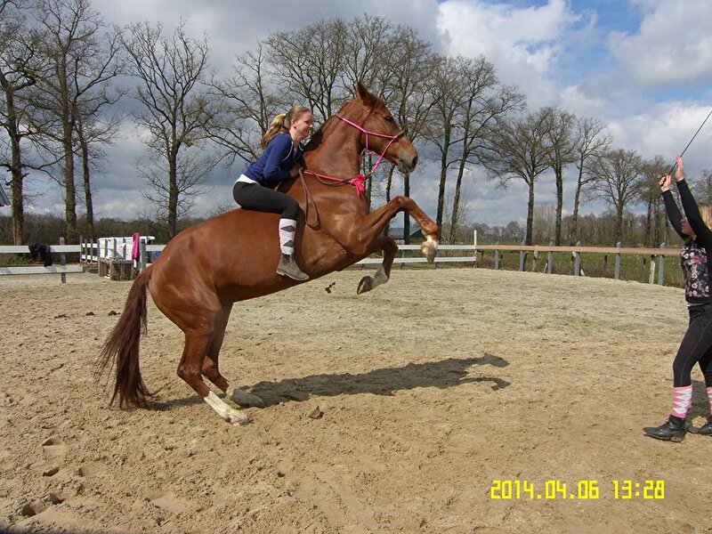 Afbeelding