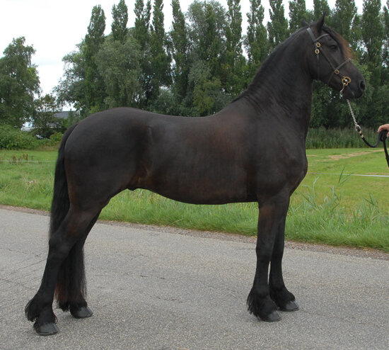 Afbeelding