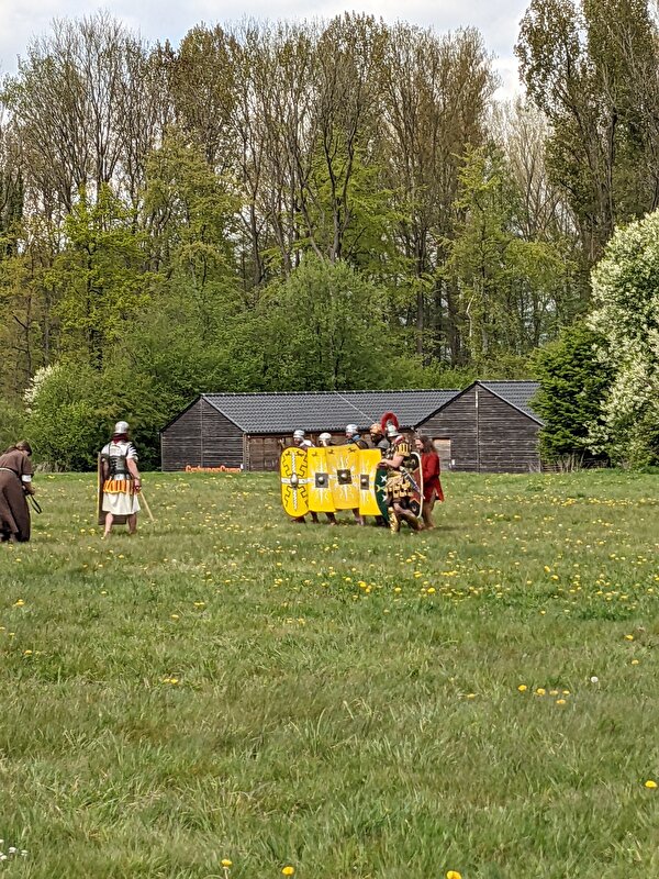 Afbeelding