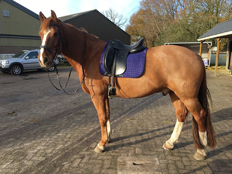 Afbeelding